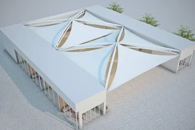 صورة المقال