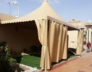 صورة المقال