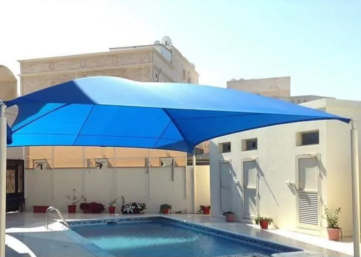 صورة المقال