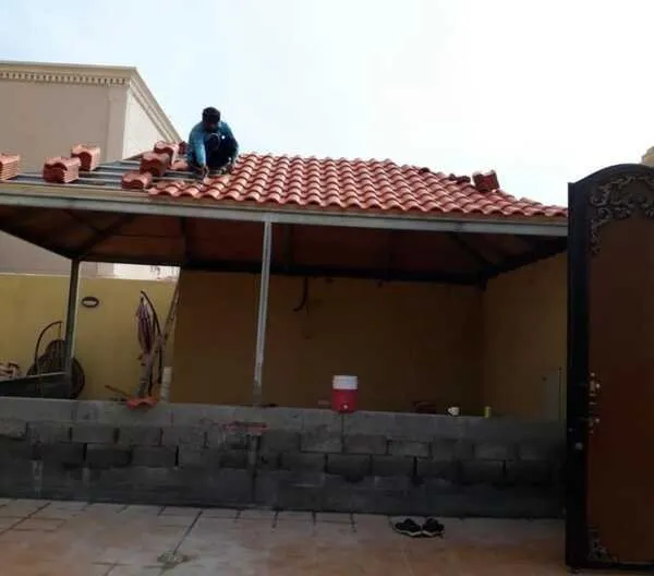 صورة إضافية