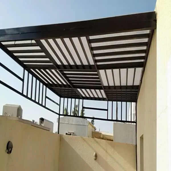 صورة المقال