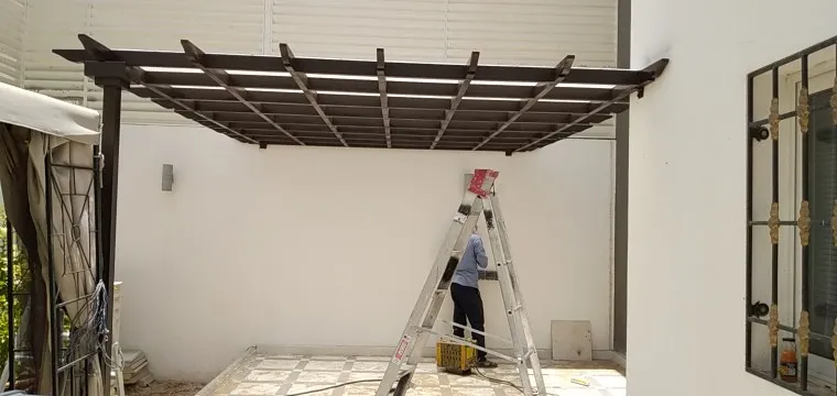 صورة إضافية