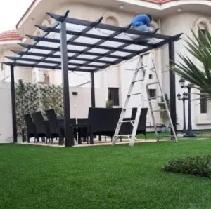 صورة إضافية