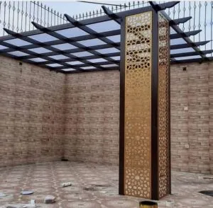 صورة إضافية