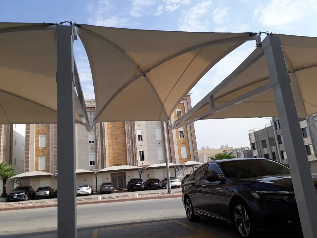 صورة المقال