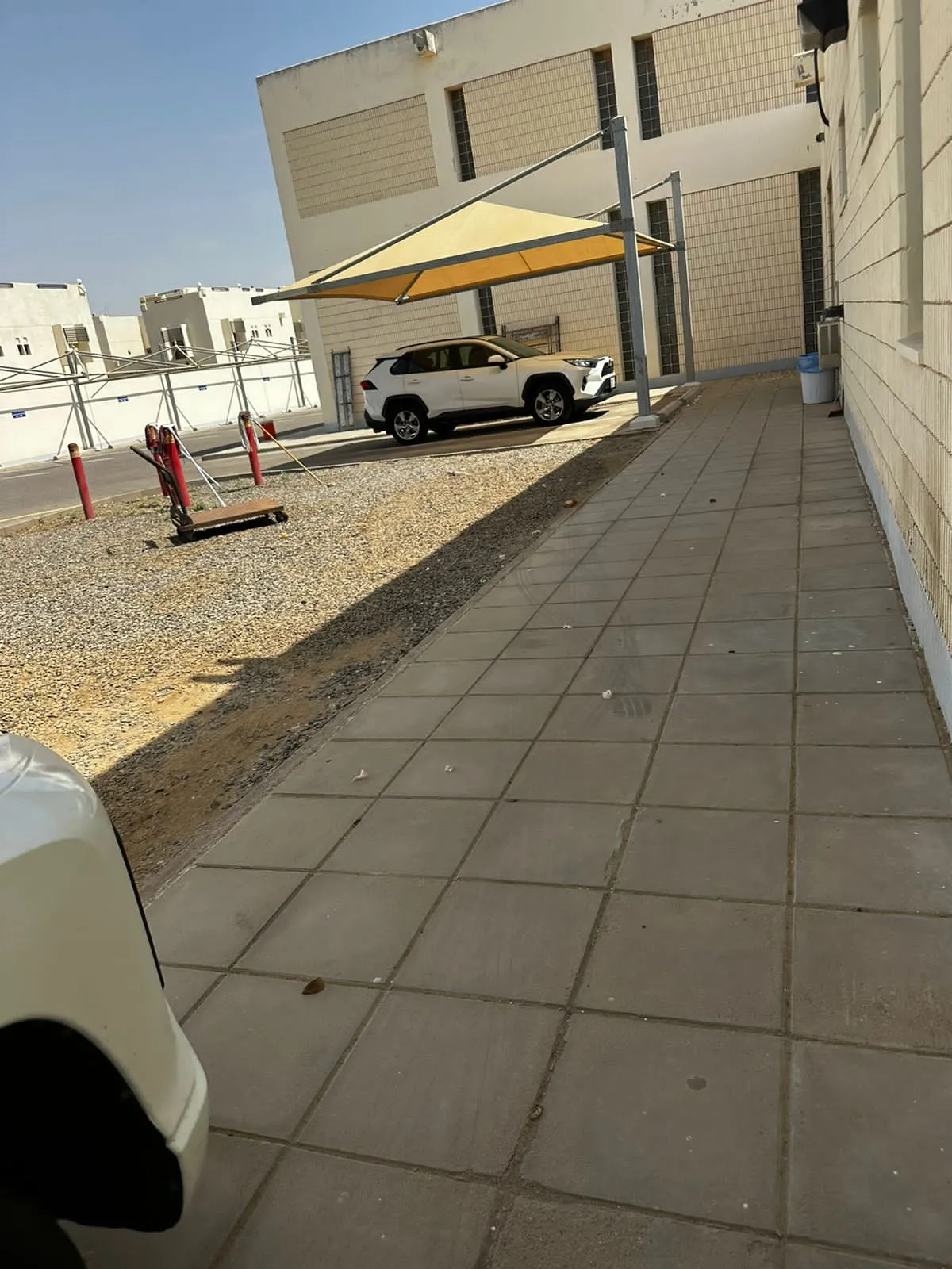 صورة إضافية