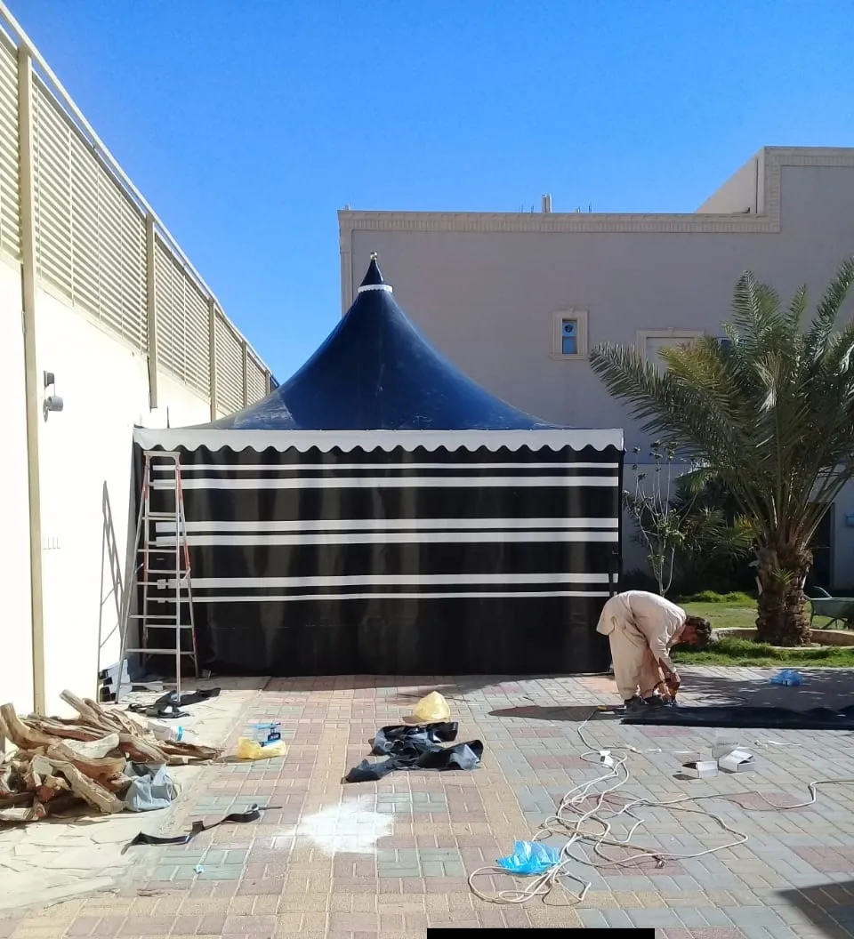 صورة المقال