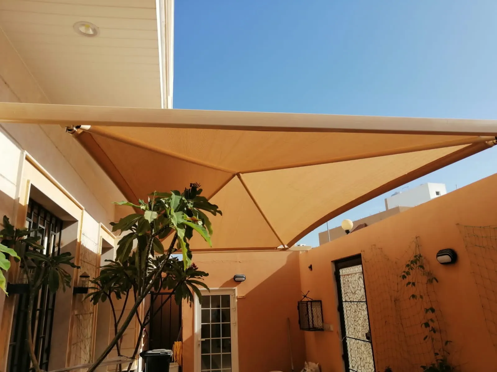 صورة إضافية