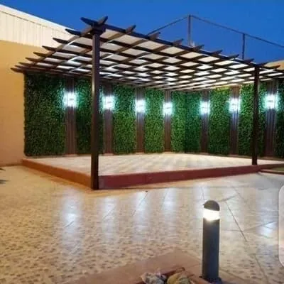 صورة إضافية