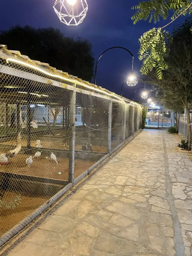 صورة إضافية