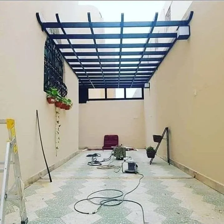 صورة إضافية