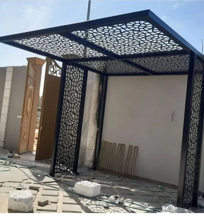 صورة إضافية